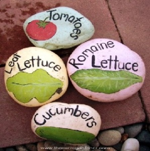 Plant Labels using Colored Rocks